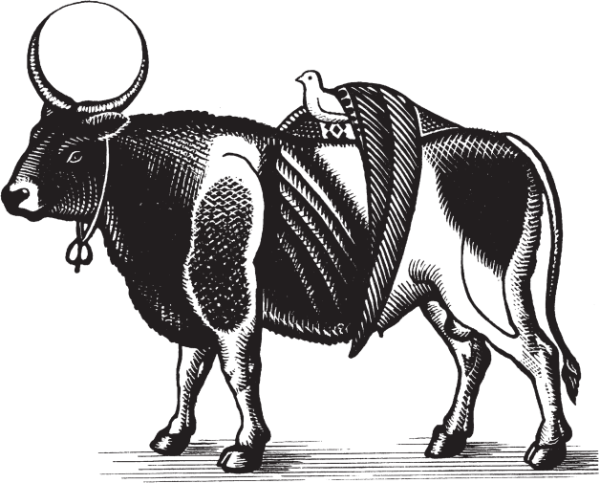 Священный бык АПИС