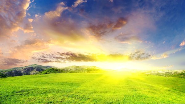 Солнечная лужайка