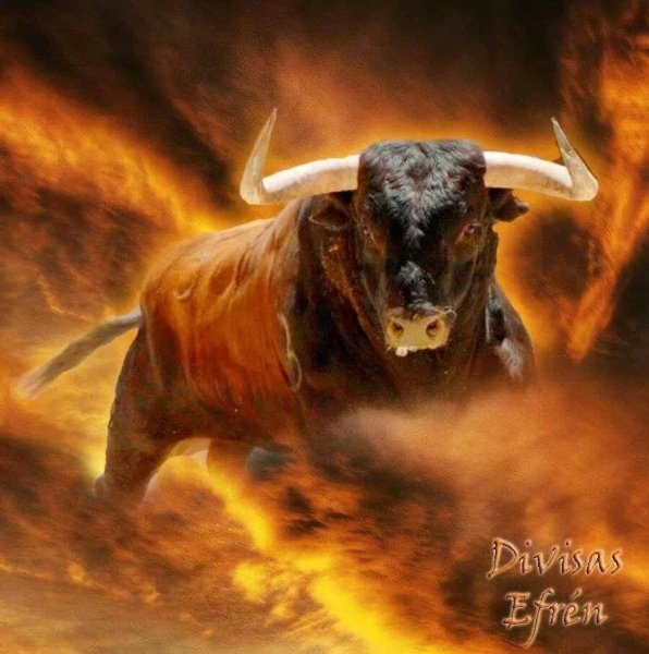 Таурус бык Телец