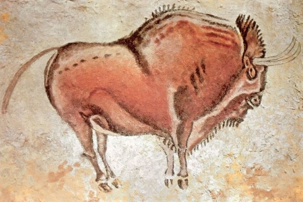 Бизон пещера Альтамира Испания