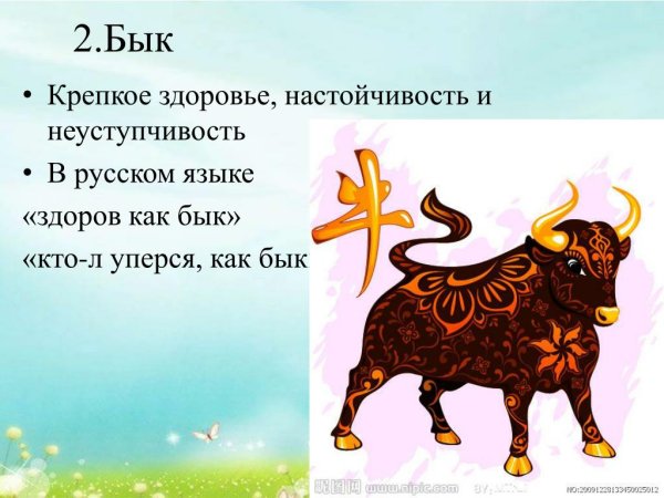 Презентация год быка