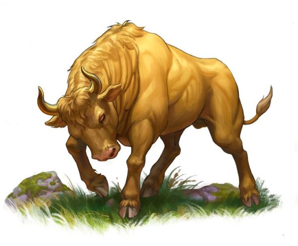 Техас Лонгхорнс бык