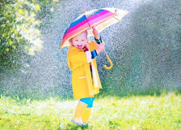 Осень иллюстрации