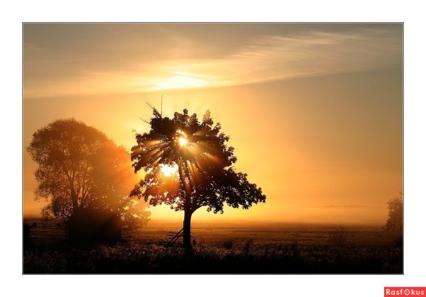 Солнце реже смеется