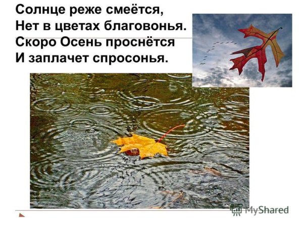 Солнце реже смеется