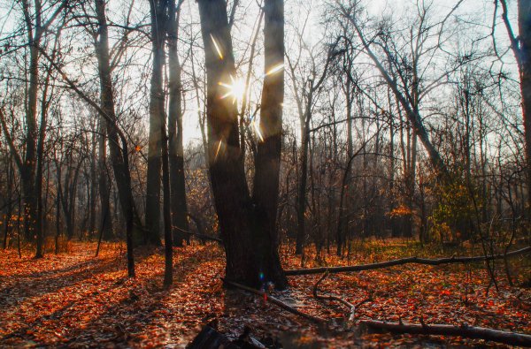 Солнце смеется