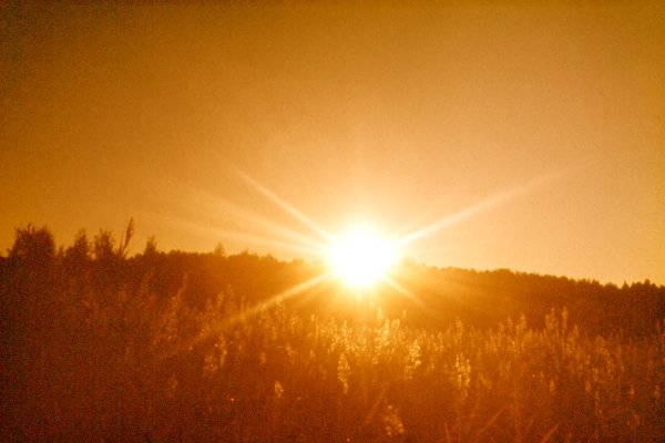 Чудеса приходят на рассвете