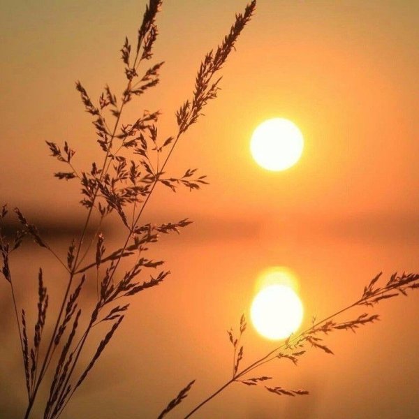 Стих про солнышко