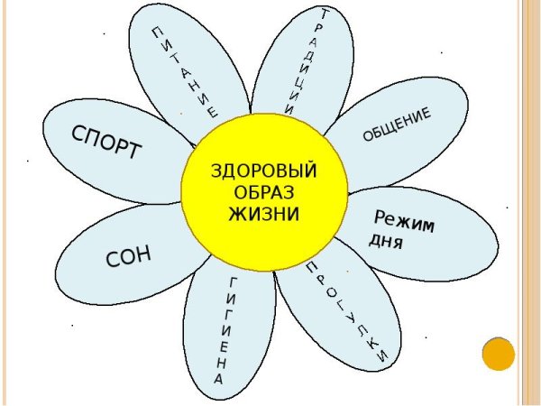Цветок здоровый образ жизни