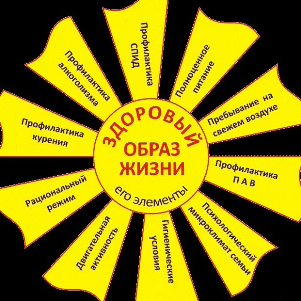 Ромашка здорового образа жизни