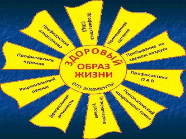 Наше здоровье в наших руках плакат