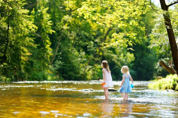 Дети гуляли у реки