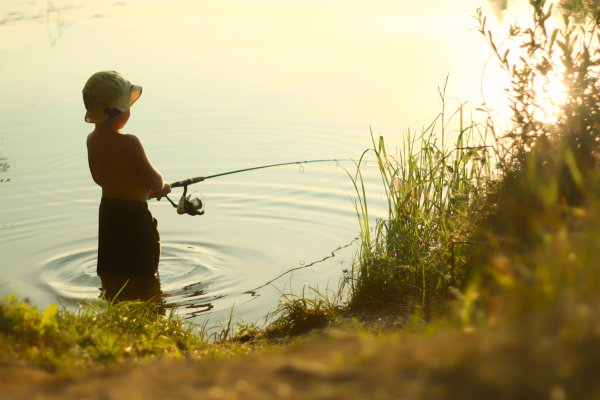 Купание летом