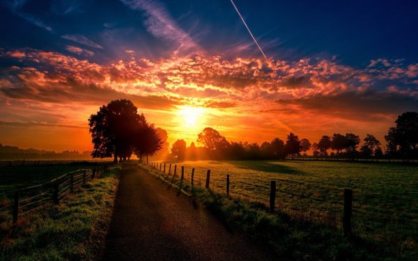 Закат естественный