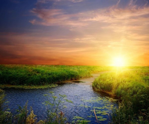 Дети на берегу реки