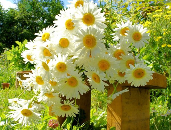 Красивый рассвет