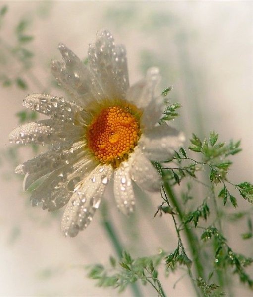 Солнечного летнего утра