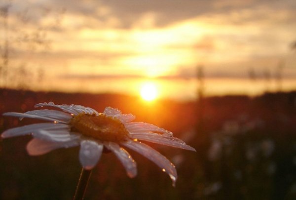 Утро солнце