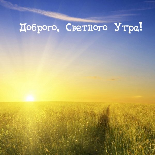 Доброе утро солнышко