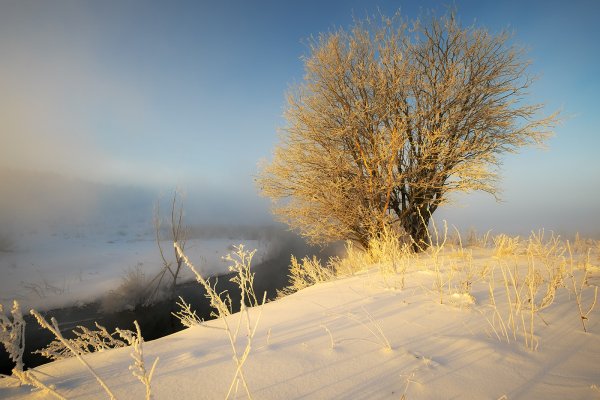 Мороз и солнце