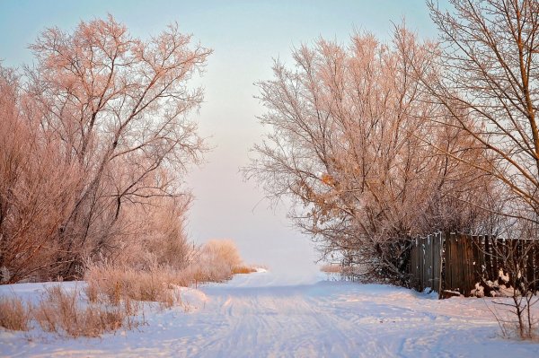 Мороз и солнце день чудесный