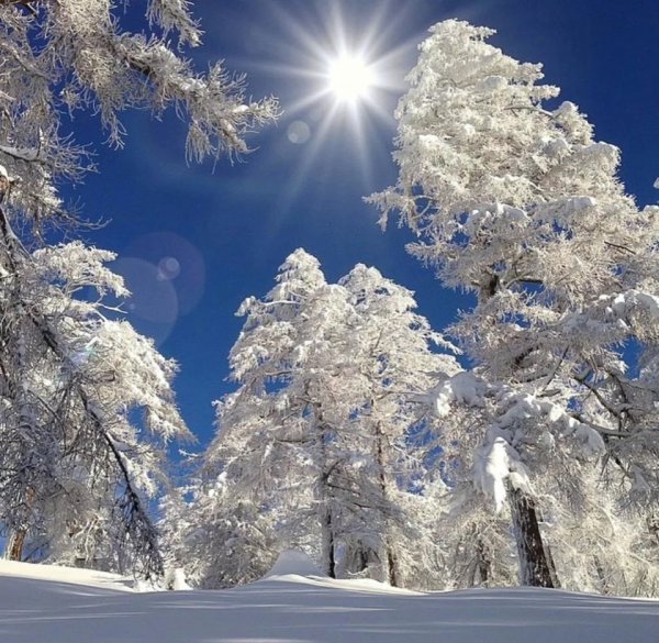 Мороз и солнце