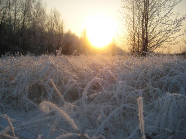 Солнечный зимний день фото