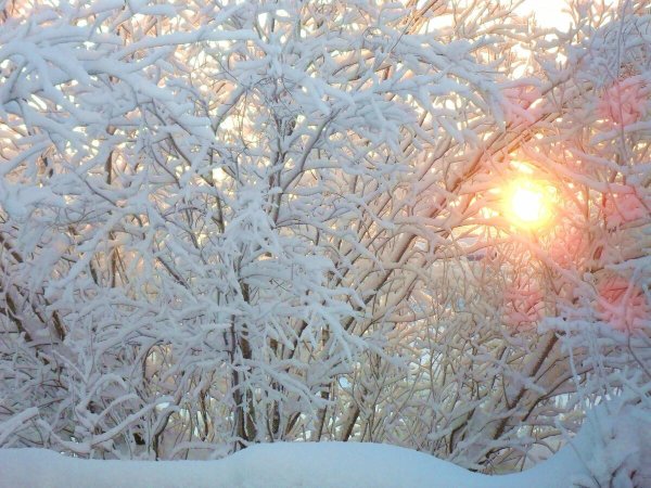 Зимнее утро