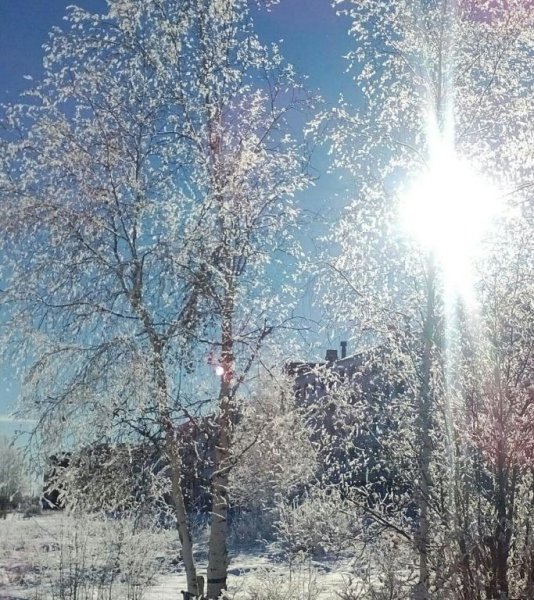 Зимнее доброе утро Пушкин