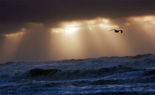 Ветер на море