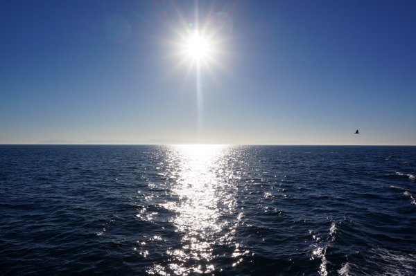 Солнечные блики на воде