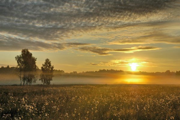 Июльский рассвет в деревне