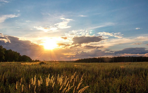 Летний закат в деревне