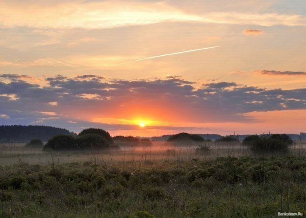 Утренняя Заря в деревне