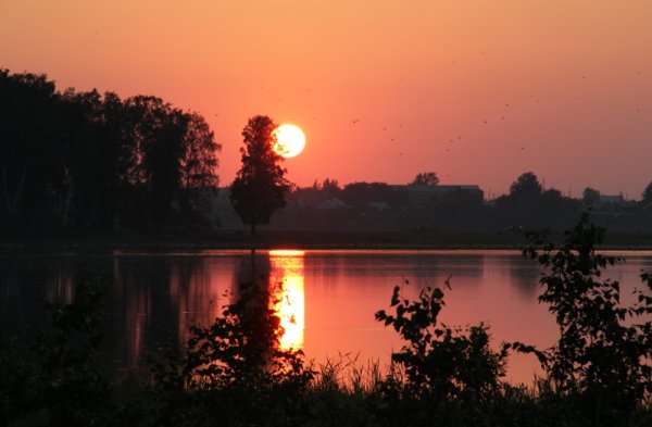 Красивые вечерние закаты в деревне