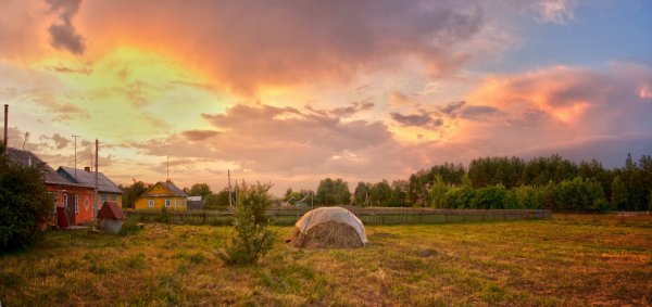 Панорама деревни летом