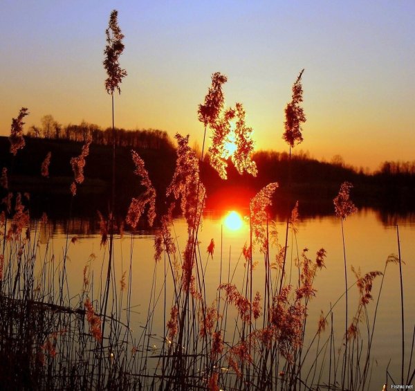 Летний закат в деревне