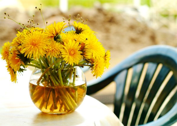 Букет одуванчиков