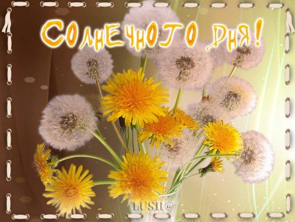 Кофе солнце