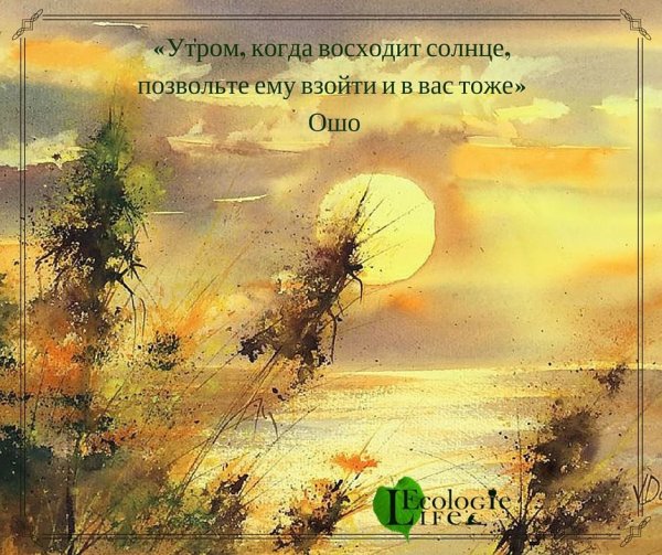 Радуга в деревне