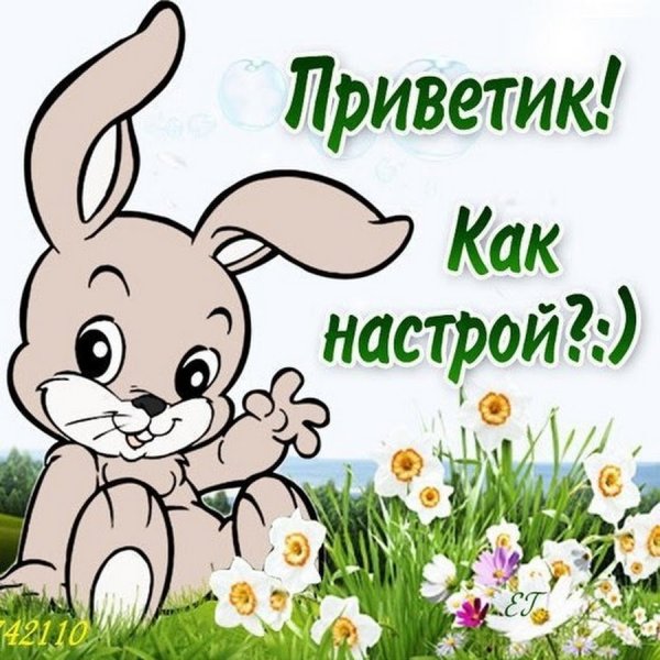 Открытки приветик