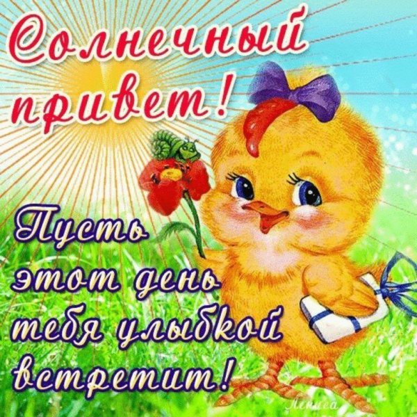 Привет солнечного дня