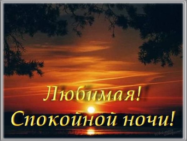 Спокойной ночи солнышко