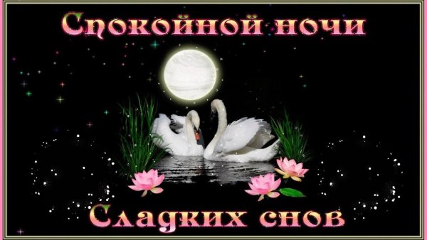 Открытки спокойной ночи сладких снов