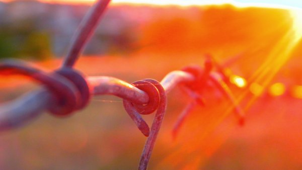 С днем проводов