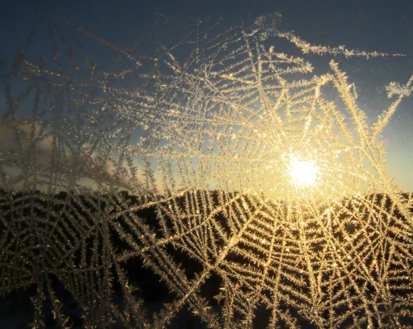 Снежная паутина