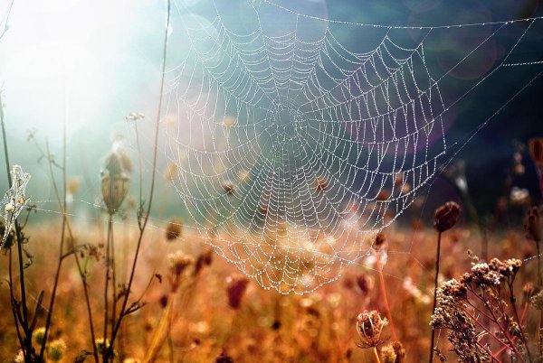 Солнышко с лучиками