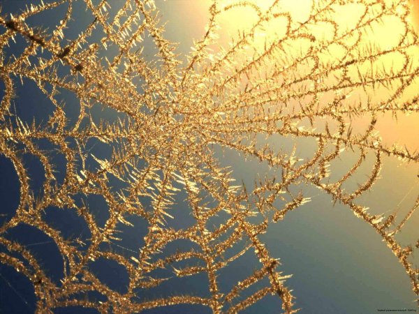 Творческие работы детей