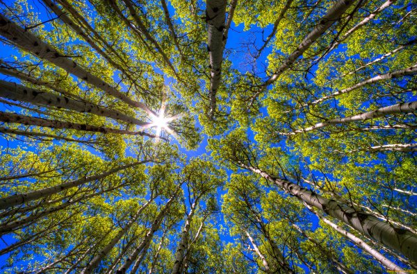 Пейзаж в теплых тонах