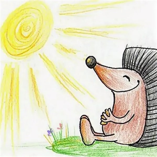 Еж на солнце